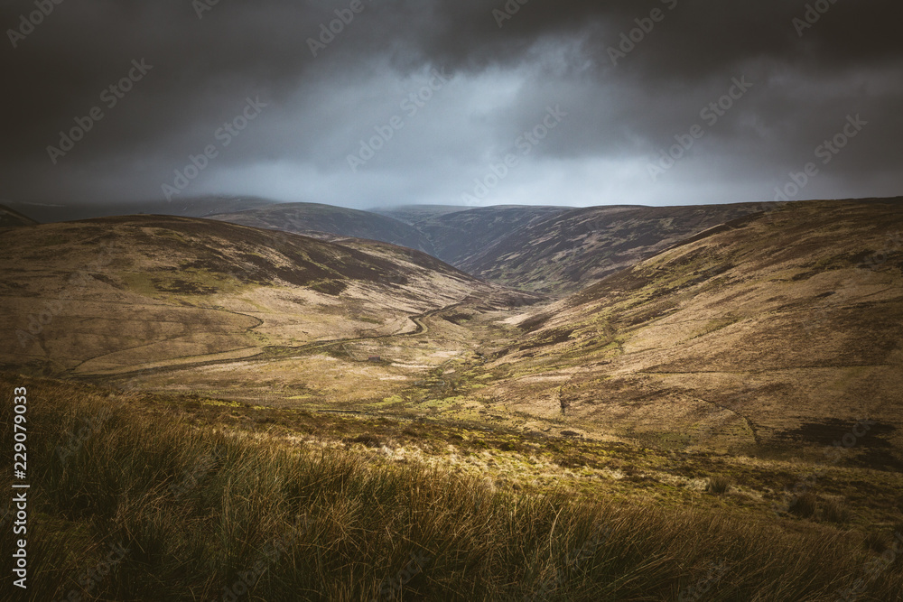 Scottish Valley