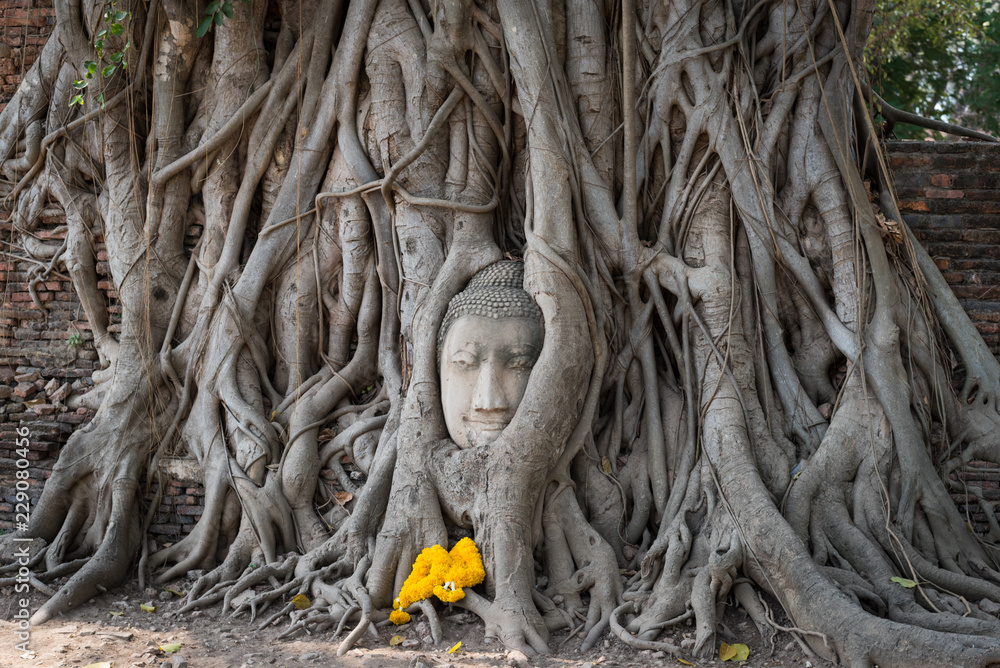 ayttaya ruined temple8 ayttaya ruined temple8