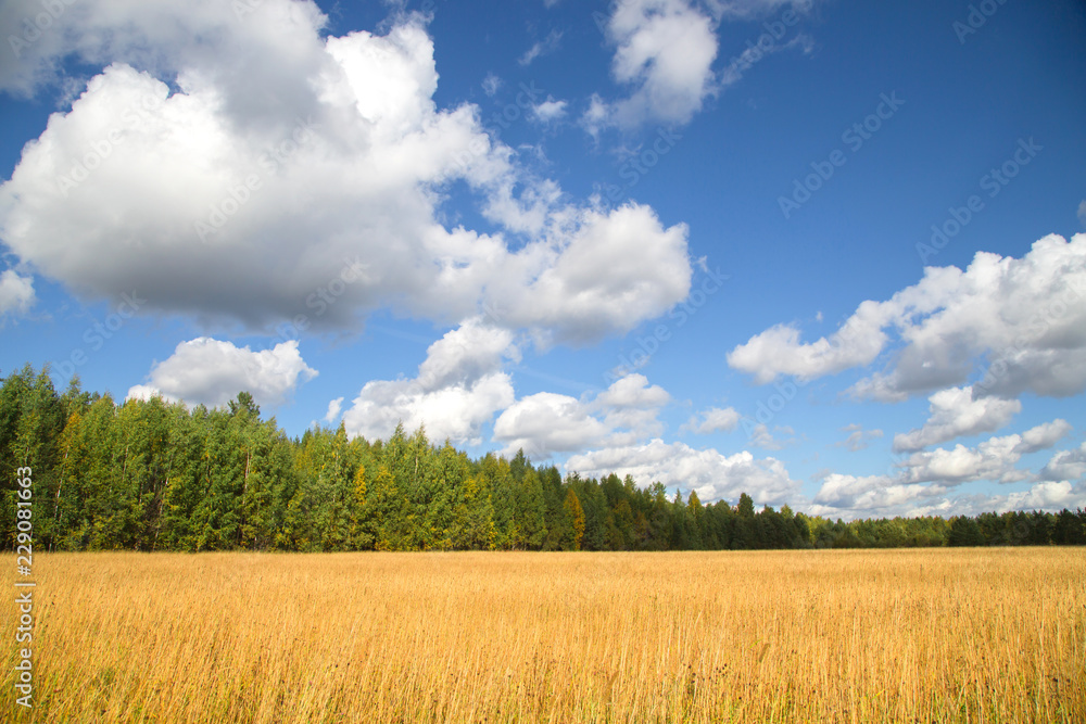 Beautiful autumn landscape with white clouds. Rural place