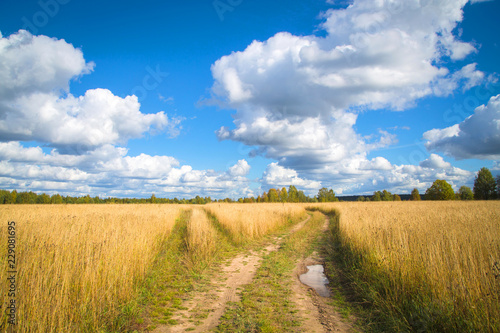 Beautiful autumn landscape with white clouds. Rural place