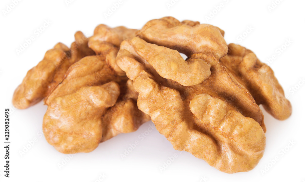 Walnut on white background Walnut on white background