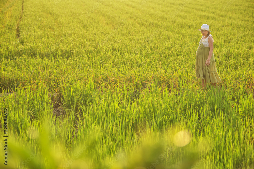 pregnant woman in green dress relaxing in the meadow with sunset