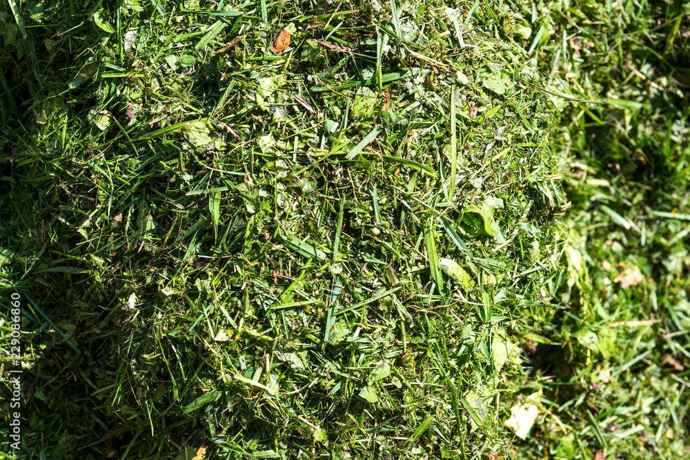 Pile of cut grass from above