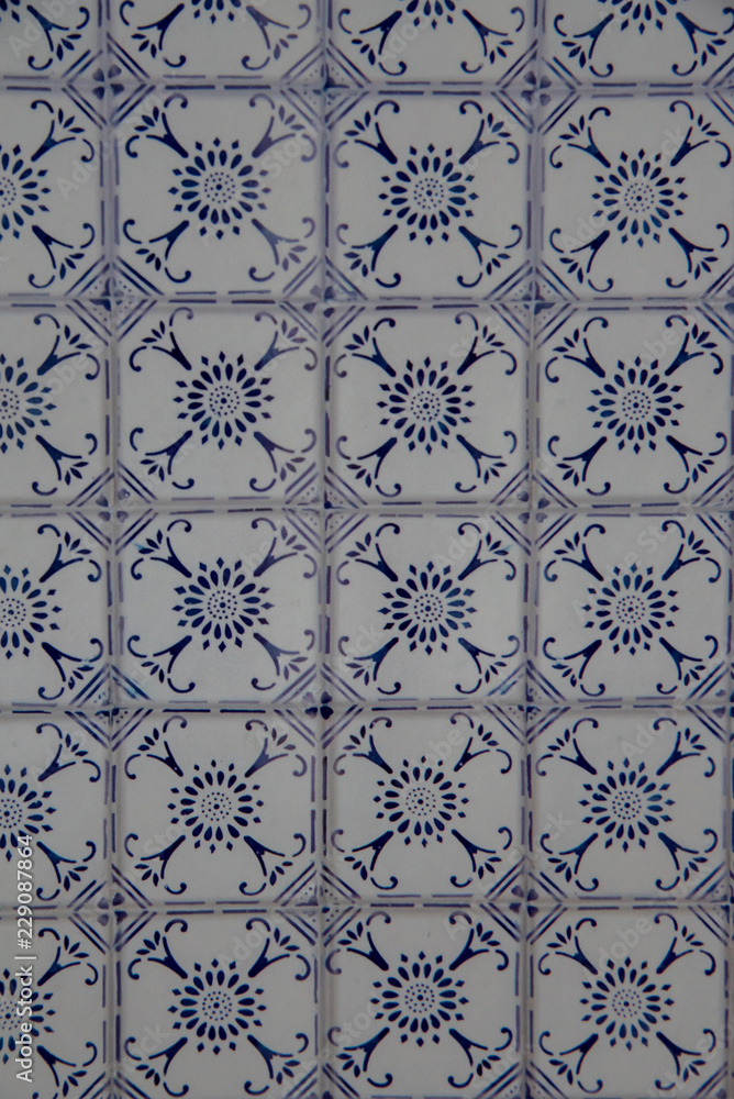 piso de talavera mexicano azul con blanco ceramica