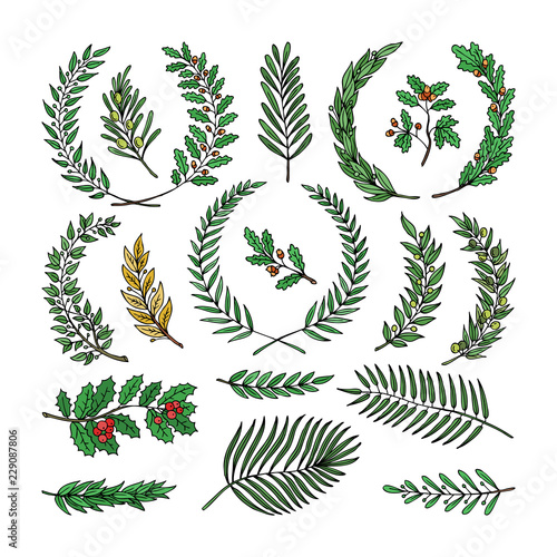 Wreath vector tree branch herald wreathed decoration with wreathen olive leaves and wreathed flaurel decor illustration set of heraldry greek award decoration isolated on white background