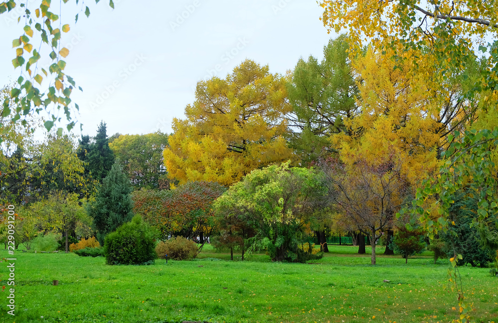 Landscape of a botanical garden with bushes and trees in autumn
