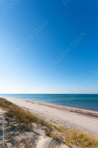 Fototapeta Naklejka Na Ścianę i Meble -  bright wild beach of white sand by the blue sea, Curonian Spit National Park