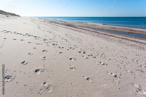 bright wild beach of white sand by the blue sea, Curonian Spit National Park © Sergey