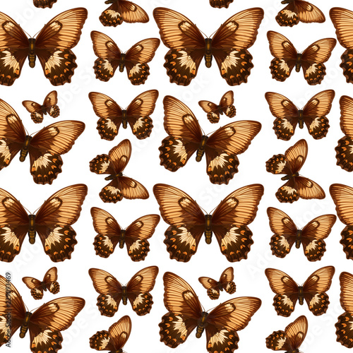 Butterfly on seamless pattern