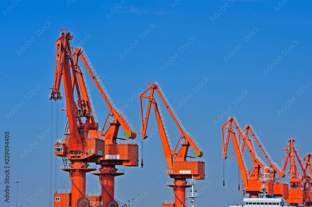 Port crane bridge and bulk carrier