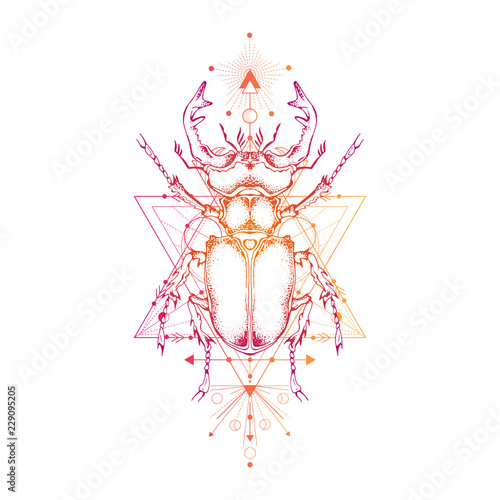 Vector illustration with hand drawn stag beetle and Sacred geometric symbol on white background. Abstract mystic sign. 