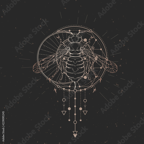 Vector illustration with hand drawn wasp and Sacred geometric symbol on black vintage background. Abstract mystic sign. Gold linear shape. For you design.