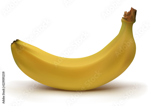 Realistic yellow banana with shadow in vector mesh