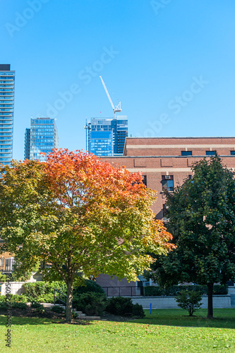 Photography Cityview in autumn, Toronto of Canada