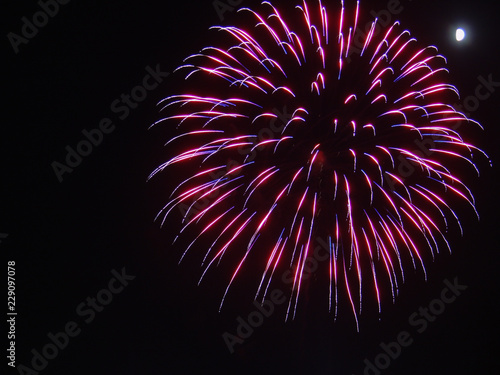 Pink and purple firework burst in the black sky on the Fourth of July