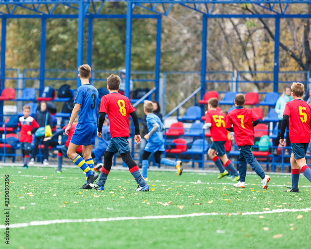 Children are kicking soccer classic white and black ball. Young kids football action. Boys are running after the Ball on green artificial grass. Footballers in blue and red shirts