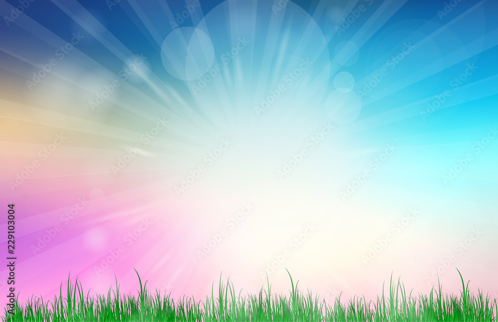 Abstract Blue and pink blurred gradient background. Nature blurred bokeh background with sunlight and grass.