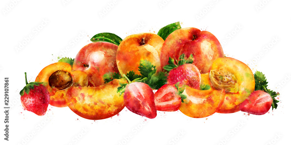 Fototapeta premium Apricot, peach and strawberry on white background. Watercolor illustration
