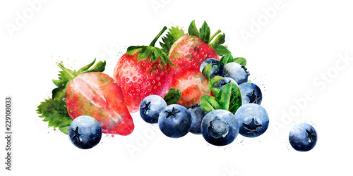 Fototapeta Naklejka Na Ścianę i Meble -  Blueberries and strawberries on white background. Watercolor illustration