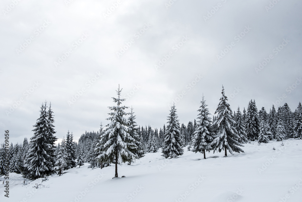 Fairy snowy winter Christmas landscape Fairy snowy winter Christmas landscape