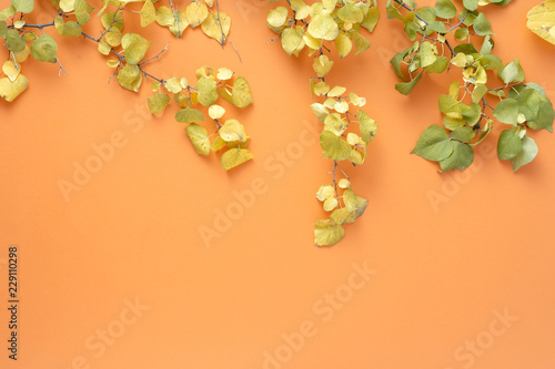 Flat lay colorful autumn leaves orange background Autumn fall top view