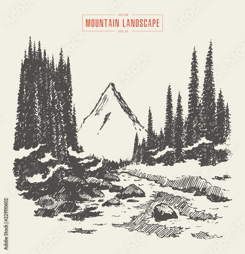 Mountains fir forest river hand drawn vector