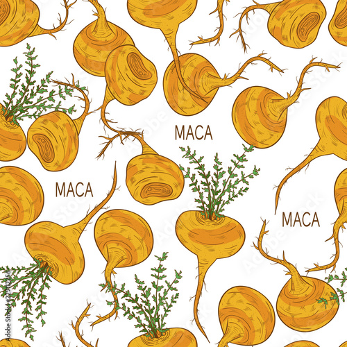 Maca. Background, wallpaper, seamless. Sketch. Color pattern.