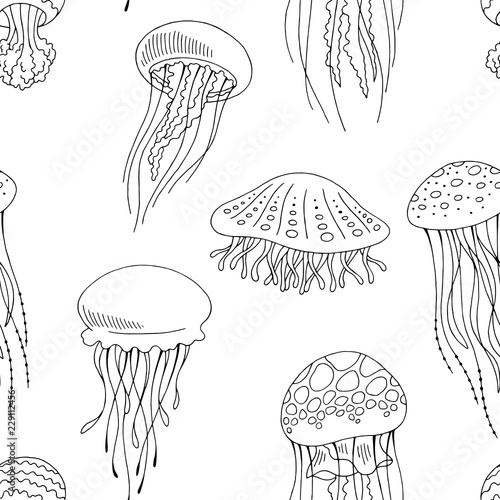Jellyfish graphic black white seamless pattern background sketch illustration vector