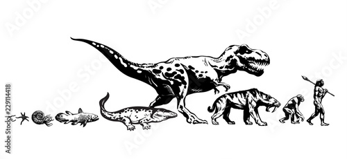 Evolution of life on Earth. Timeline from protozoa to man. Human development. Hand drawn isolated sketch ivector illustration.