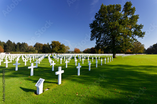 Military Cemetery Crosses
