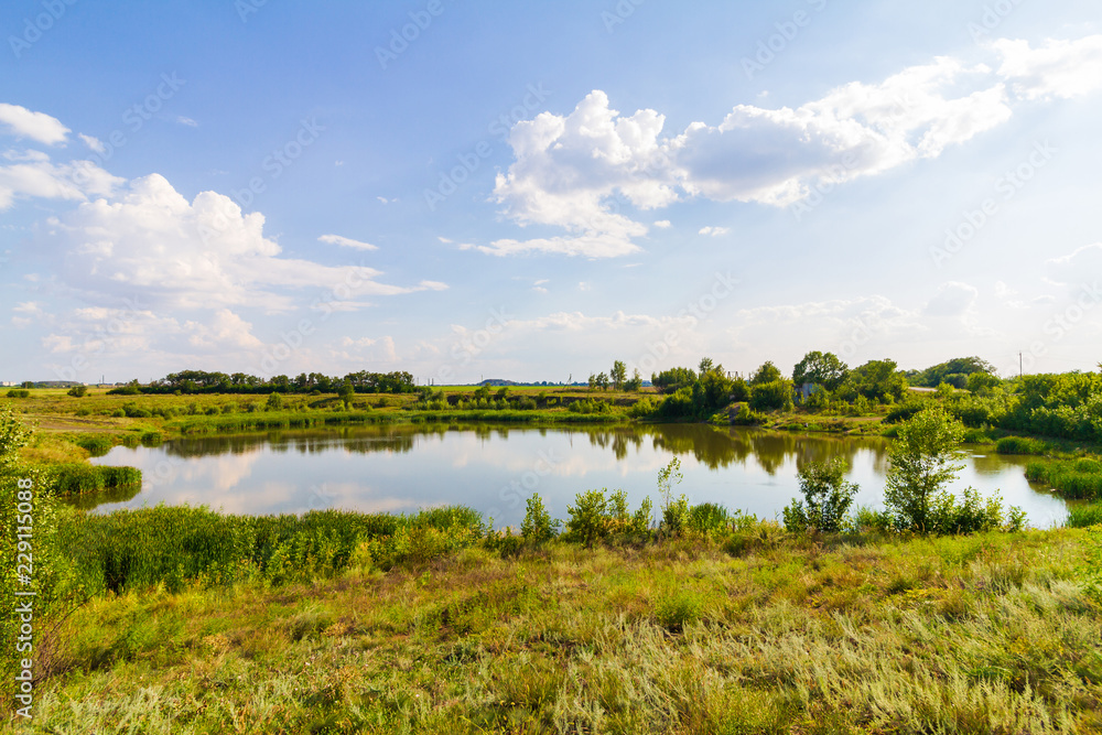 Small pond with green plants and clouds on the blue sky