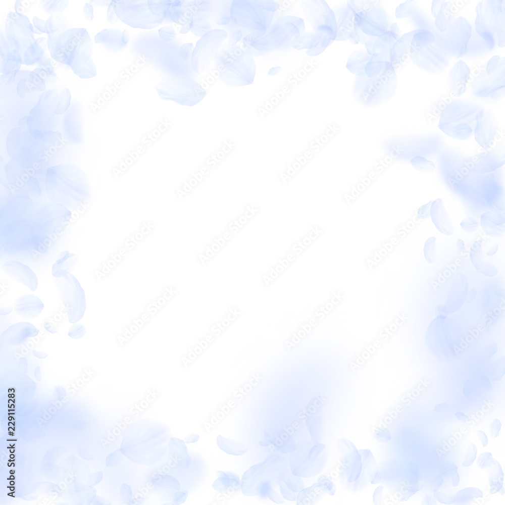 Light blue flower petals falling down. Exotic roma Light blue flower petals falling down. Exotic roma
