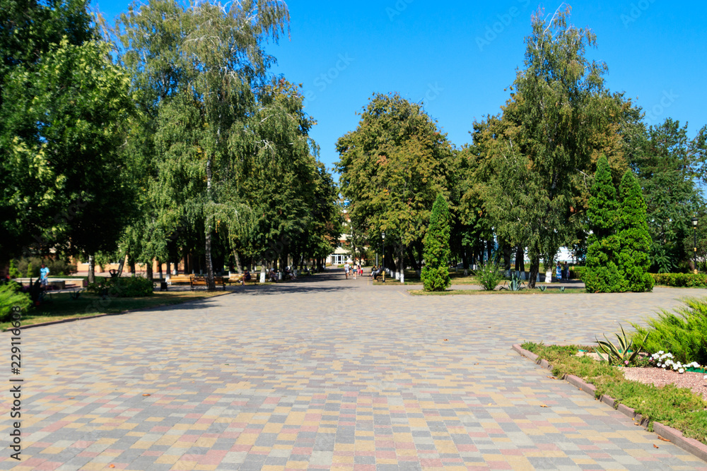 Footpath in city park at summer Footpath in city park at summer