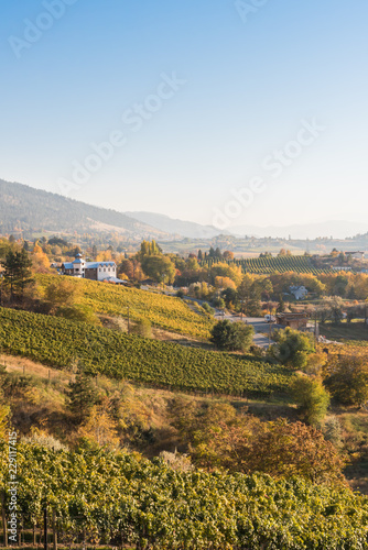 Autumn landscape of rolling hills and vineyards on the Naramata Bench in the Okanagan Valley