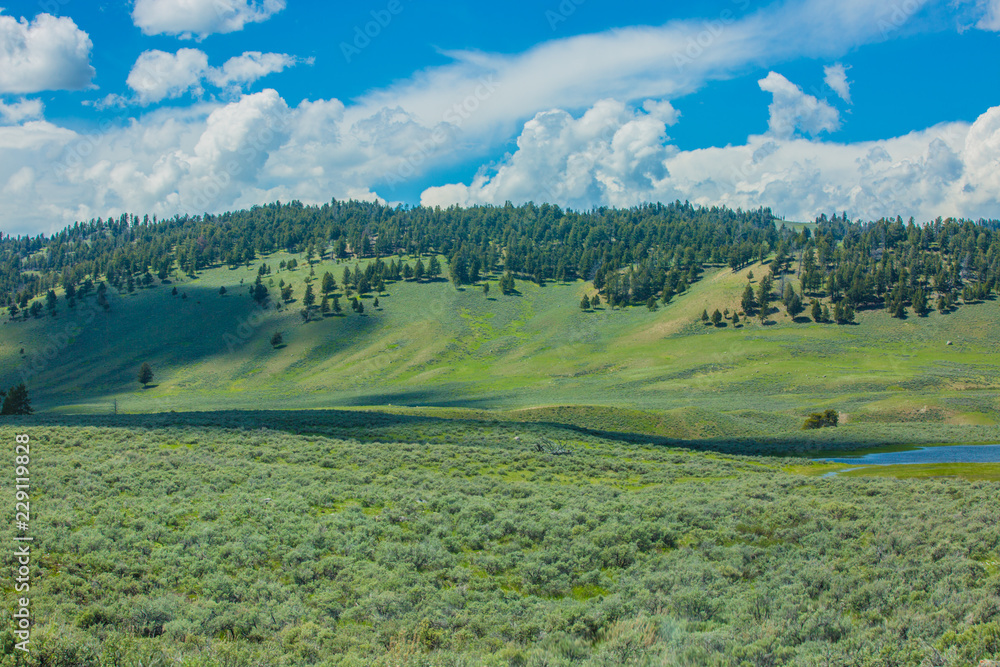 Fototapeta premium Beautiful landscape