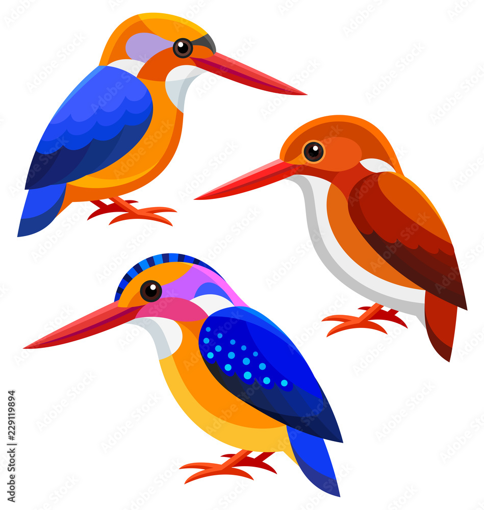 Fototapeta premium Stylized Birds - Kingfishers