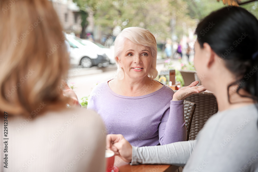 Beautiful mature women spending time in cafe Beautiful mature women spending time in cafe