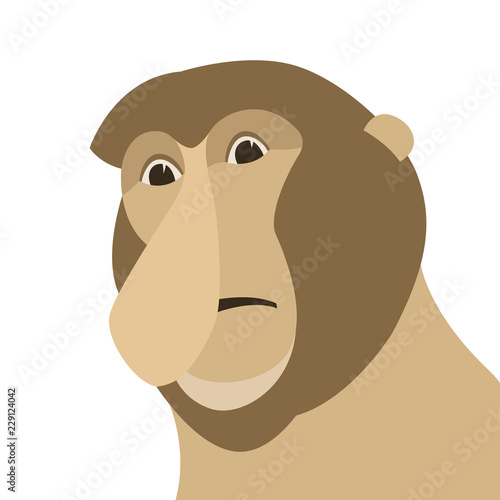 proboscis monkey head vector illustration flat style