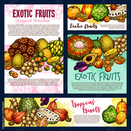 Exotic tropical fruitsand berries, vector sketch