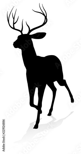 High quality animal silhoue...