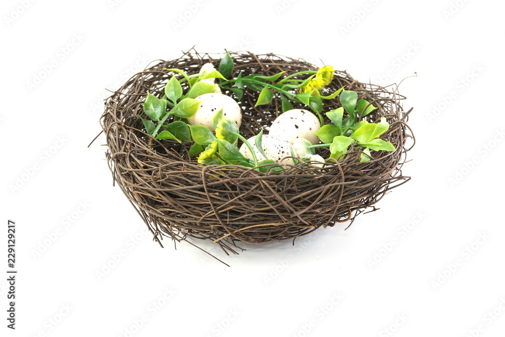 Fototapeta premium bird nest isolated on white background