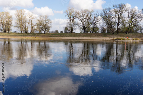 Tree row, sky and clouds are reflected in the calm river