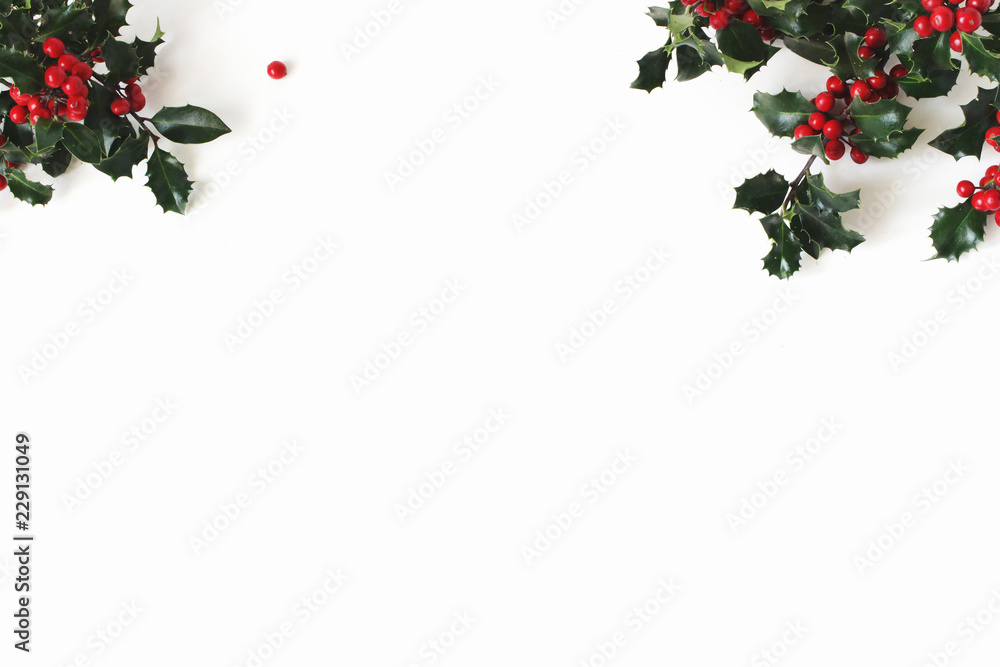 Christmas holly Ilex aquifolium isolated on white table background. Evergreen leaves with red berries. Empty space for holiday text. Decorative floral frame, web banner. Flat lay, top view. Christmas holly Ilex aquifolium isolated on white table background. Evergreen leaves with red berries. Empty space for holiday text. Decorative floral frame, web banner. Flat lay, top view.