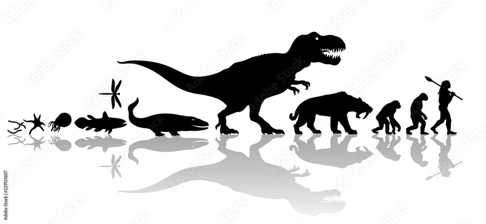 Evolution of life on Earth. Silhouette with transparent reflection isolated on white background.