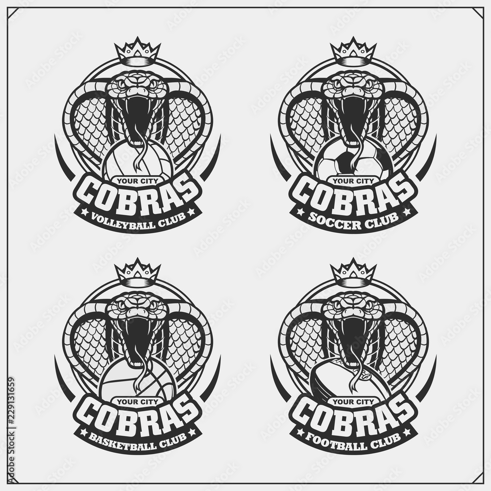 Volleyball, basketball, soccer and football logos and labels. Sport club emblems with king cobra.