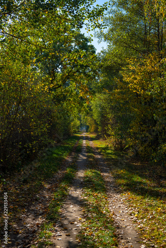 Feldweg