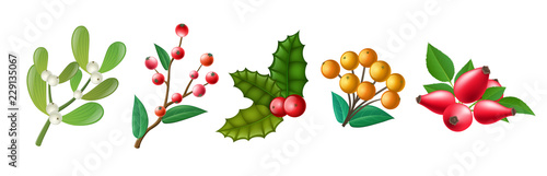 Christmas berry set, including mistletoe, holly berry, rose hip, Christmas berry with green leaf. Berry collection, isolated on white for Christmas and winter holiday decoration and frame design