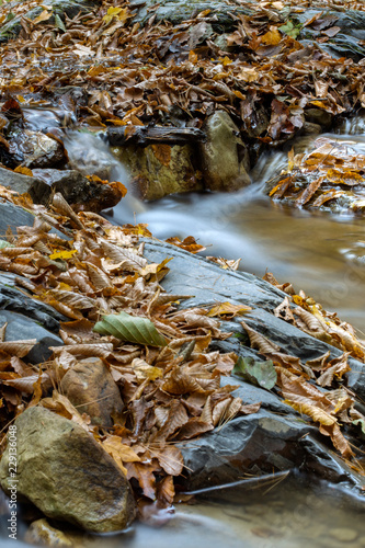 A little cascade in the Carpathian Mountains in fall season