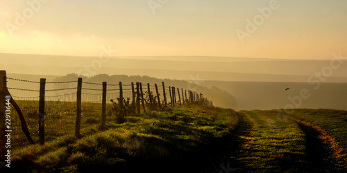 a silhoutted wooden fence runs in a line on the left leading into four rows of misty rolling hills on an orange misty morning a solitary bird is flying in the distance on Firle Beacon,  Sussex,  UK photo