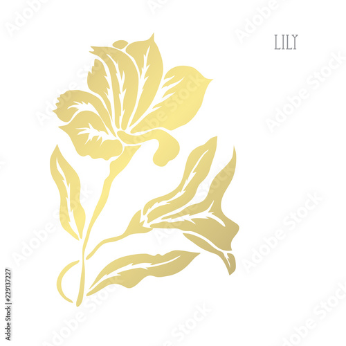 Fototapeta Naklejka Na Ścianę i Meble -  golden floral decoration